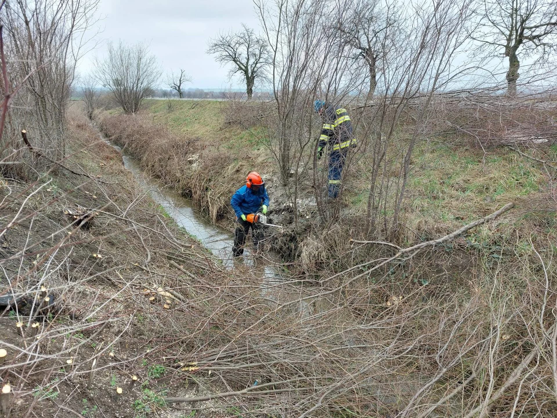 Ořez náletových křovin v korytě Radslavského potoka 15.3.2025