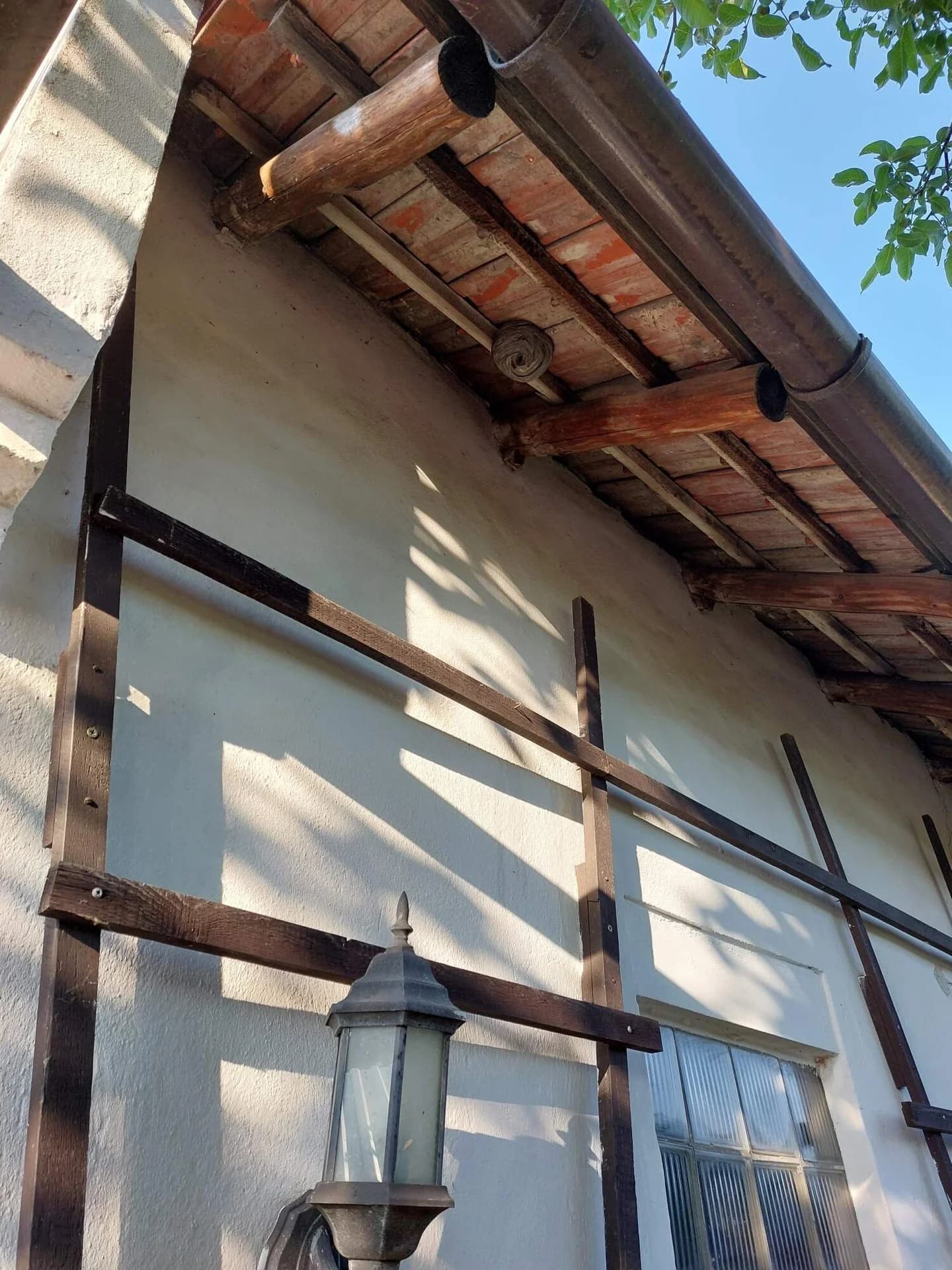 Likvidace obtížného hmyzu, Radslavice 4.7.2025