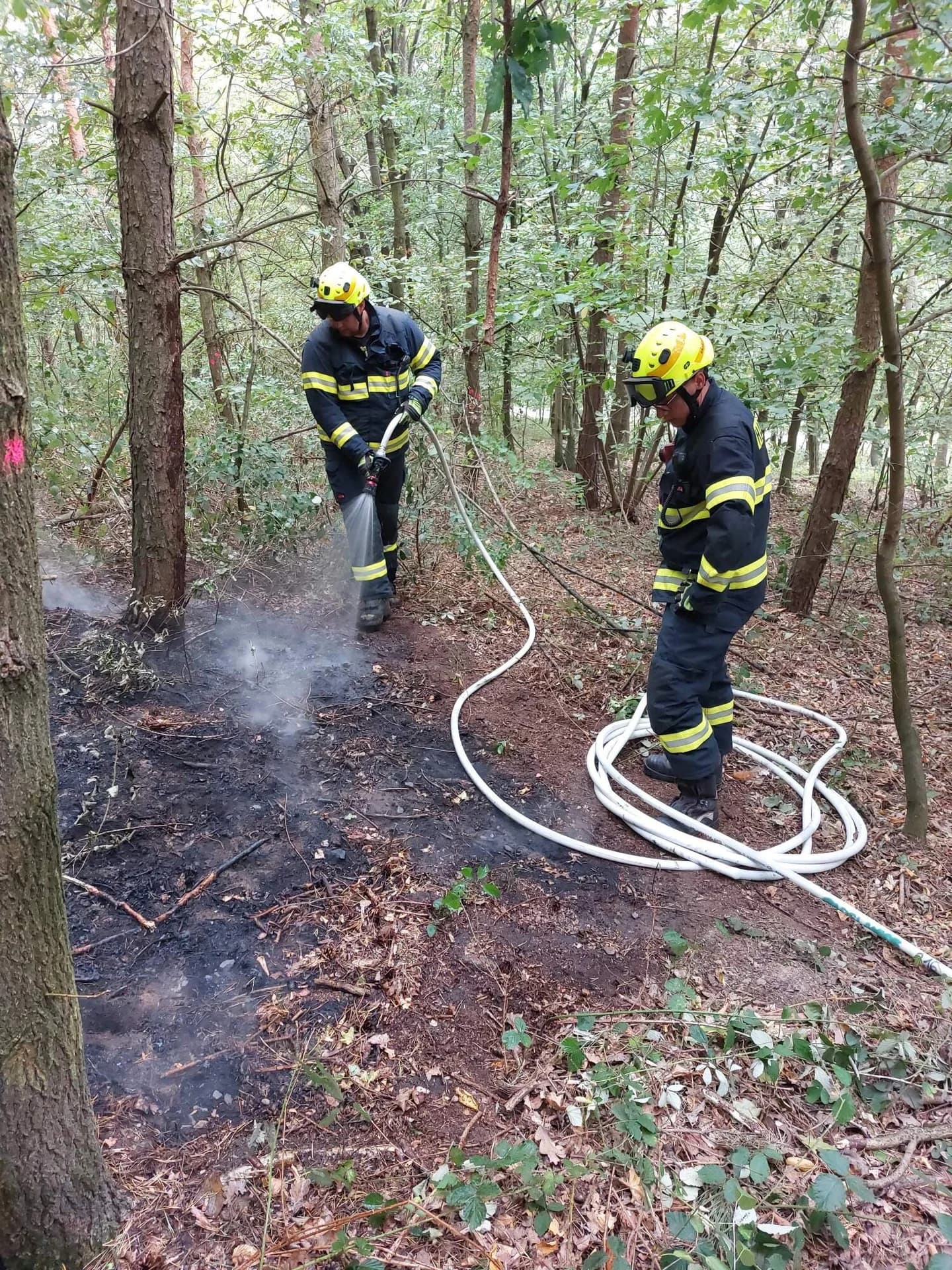 Požár lesní porost Buk, směr Sobíšky vpravo, hoří asi 5x5m hrabanky 30.08.2025