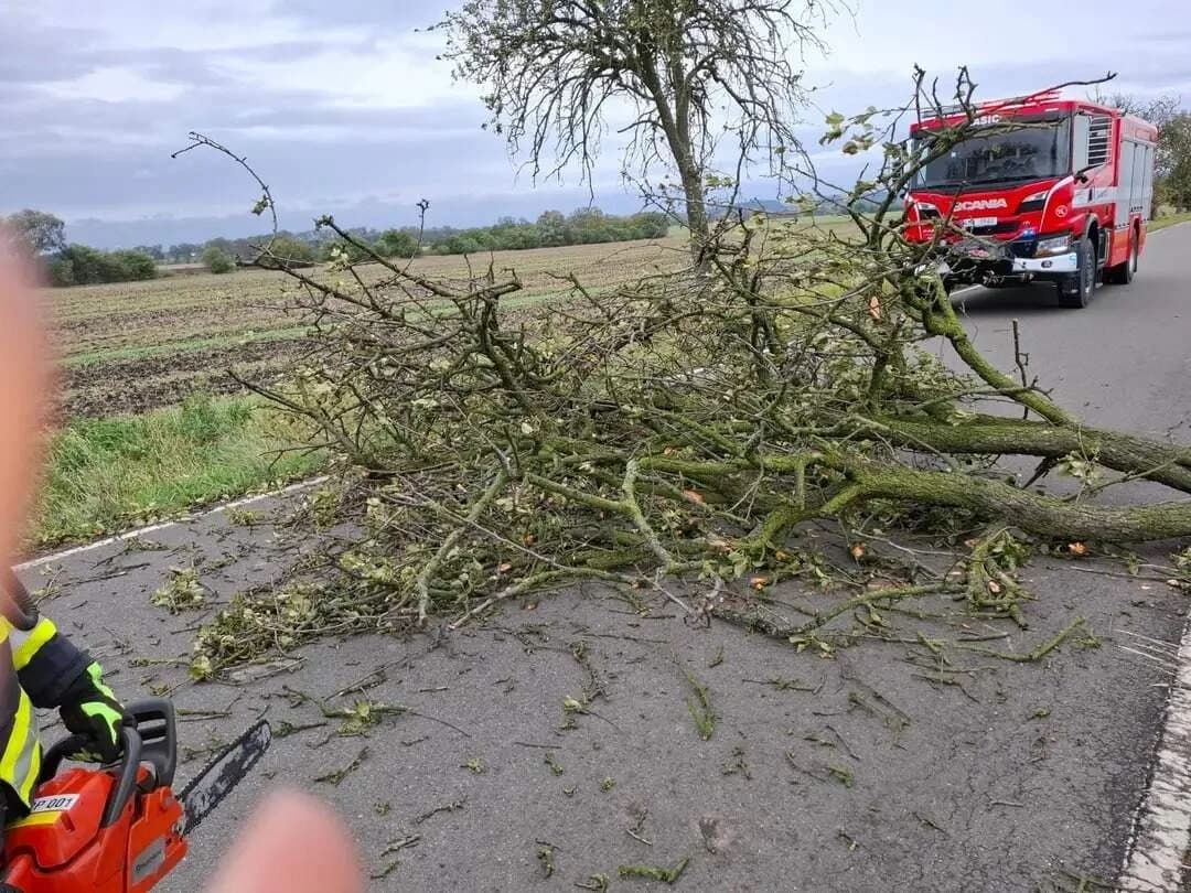 TP odstranění stromu, silnice směr Tučín 24.9.2025