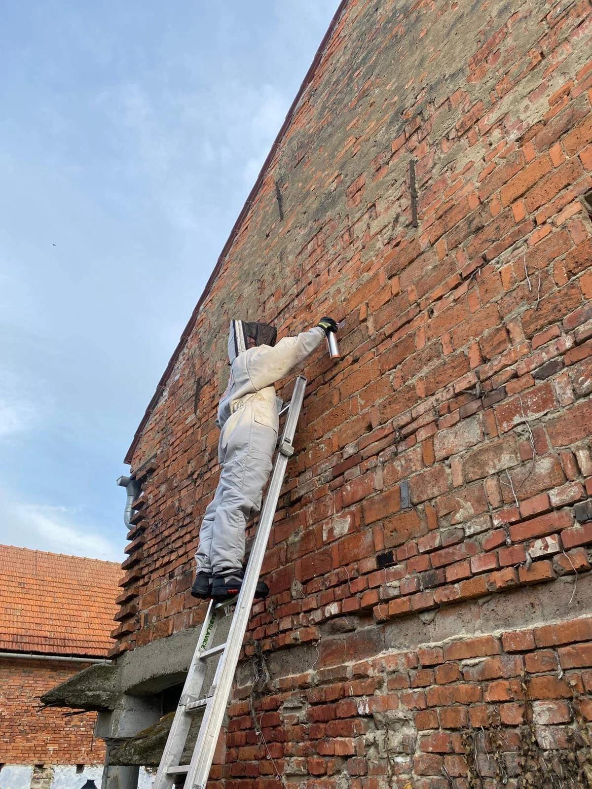 Likvidace obtížného hmyzu, Radslavice 23.5.2025