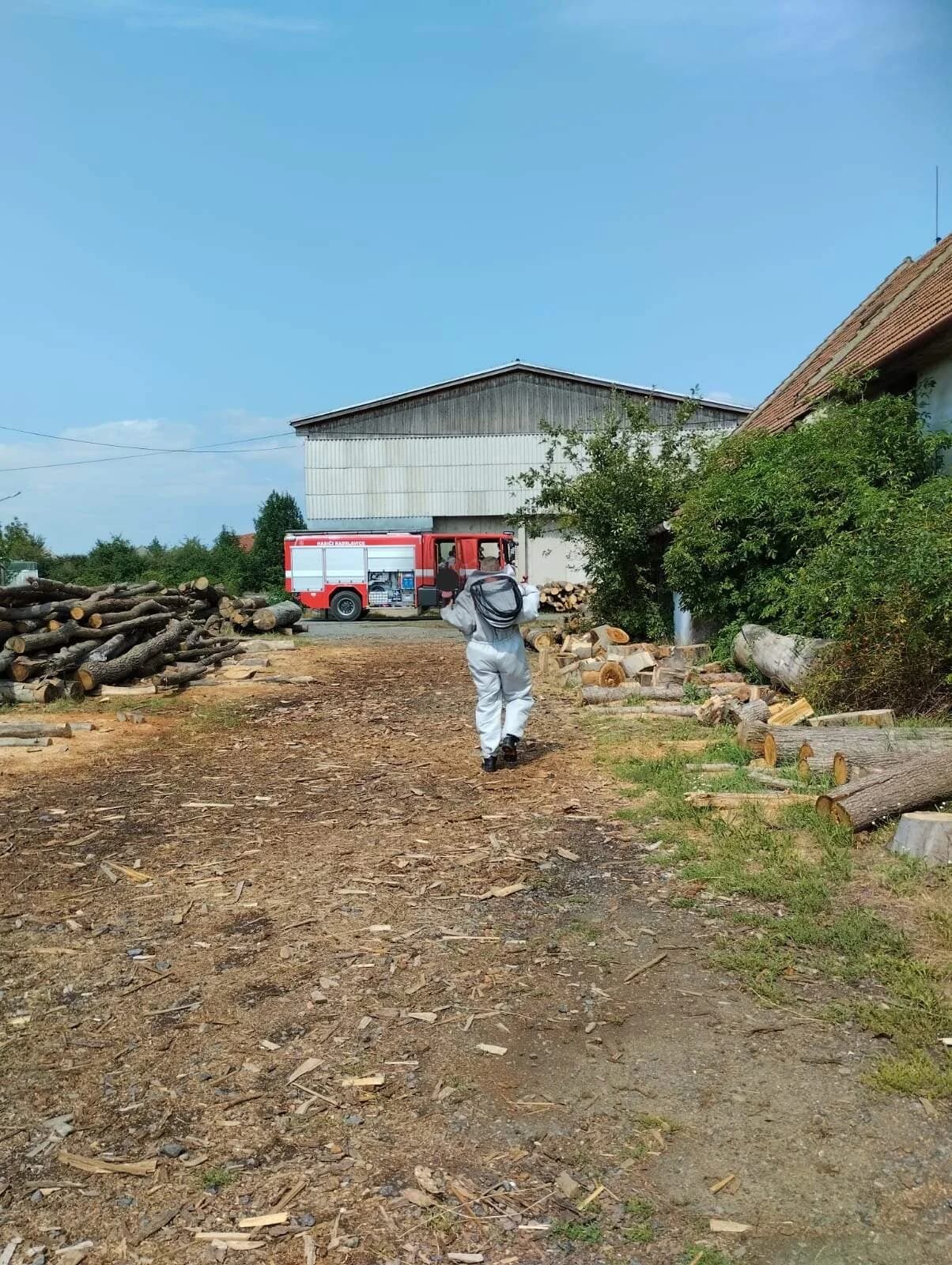 TP-likvidace obtížného hmyzu Radslavice 20.8.2024