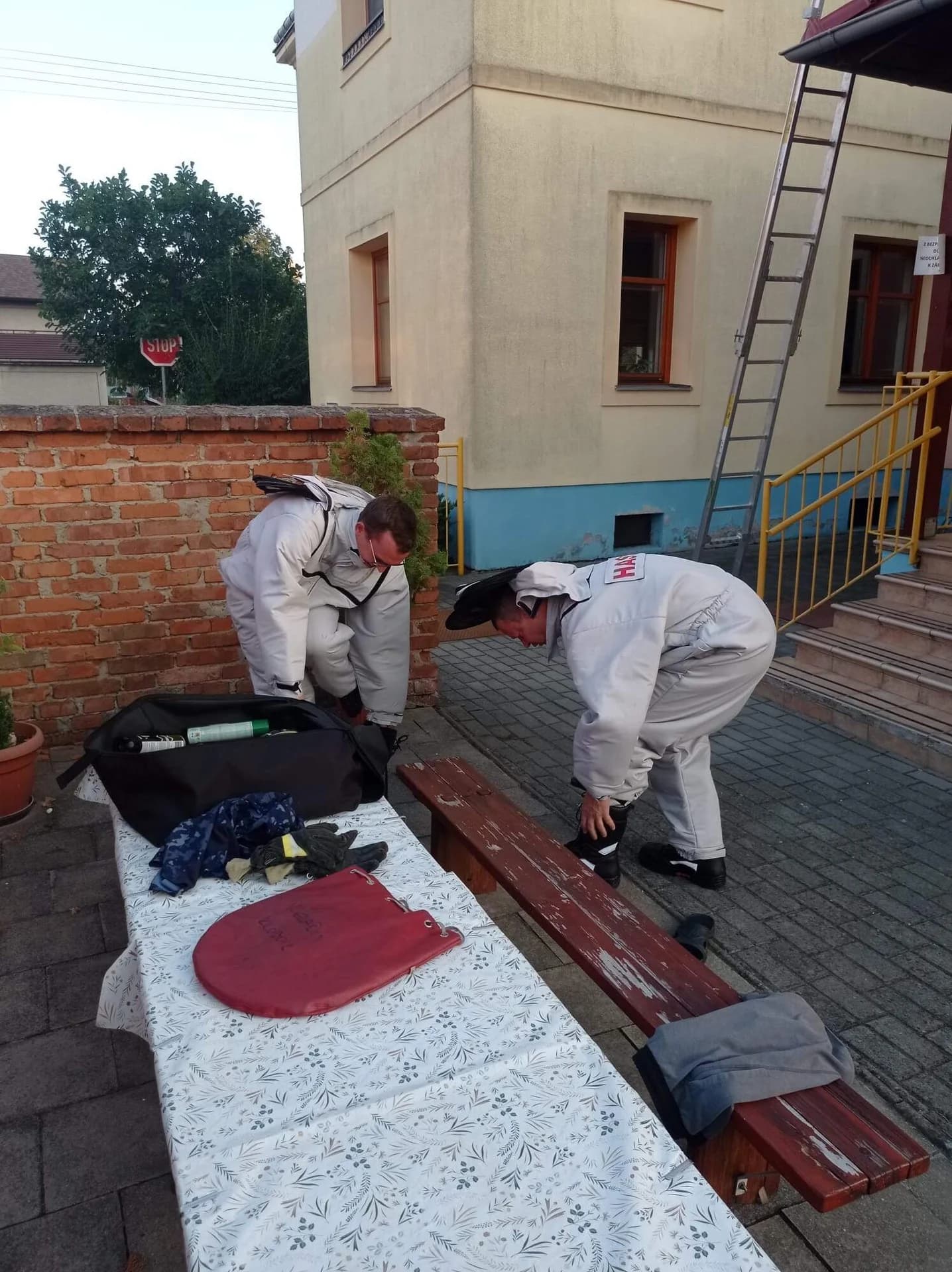 TP-likvidace obtížného hmyzu Radslavice 30.8.2024