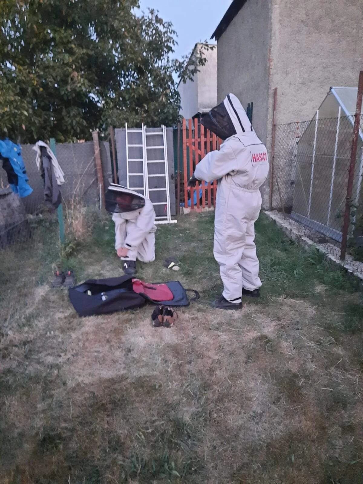 TP likvidace obtížného hmyzu Radslavice, V Zahradách, sršní hnízdo ve zdi 5.9.2024.2024